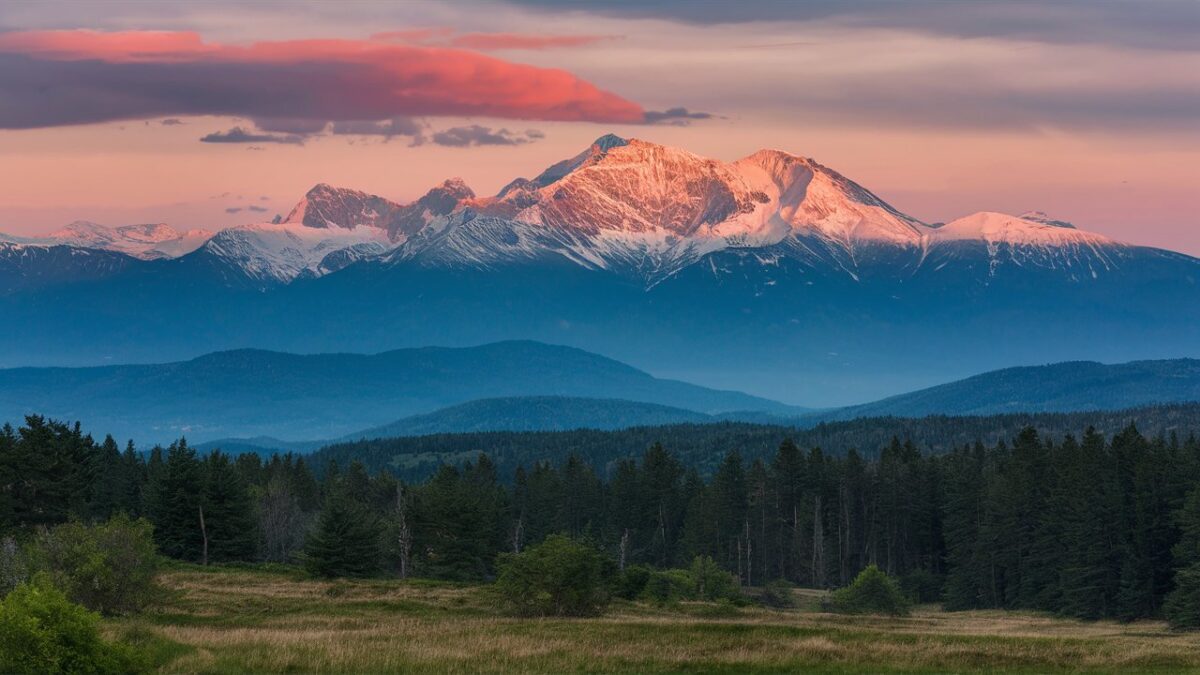 daily mountain eagle