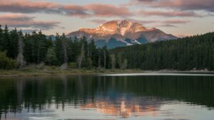 Mountain Eagle Jasper: A Trusted Voice for Local News, Community Stories, and Regional Reporting mountain eagle jasper